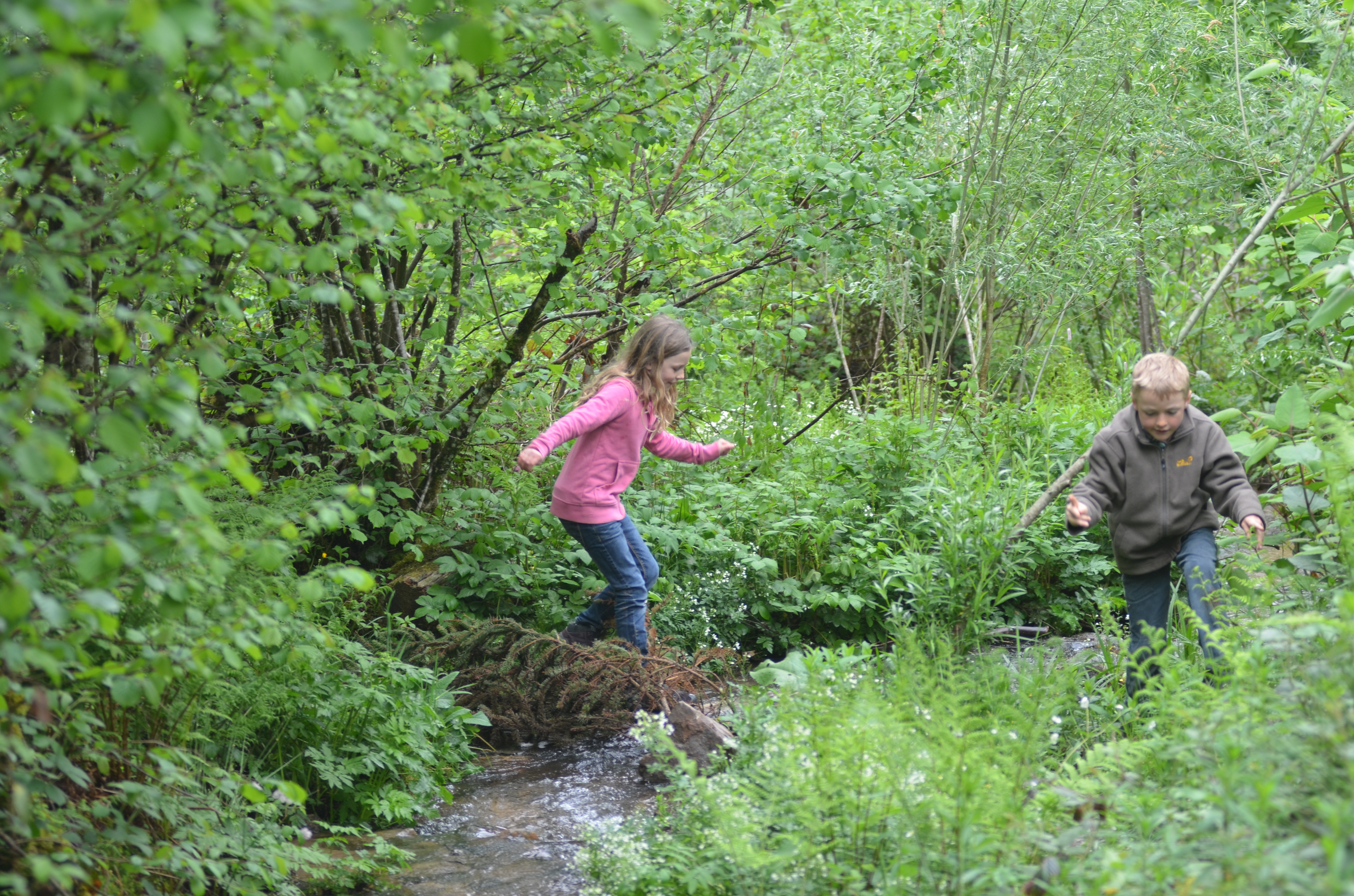 Ausflugsziel: Alternativer Wolf- und Bärenpark