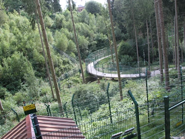 Ausflugsziel: Alternativer Wolf- und Bärenpark