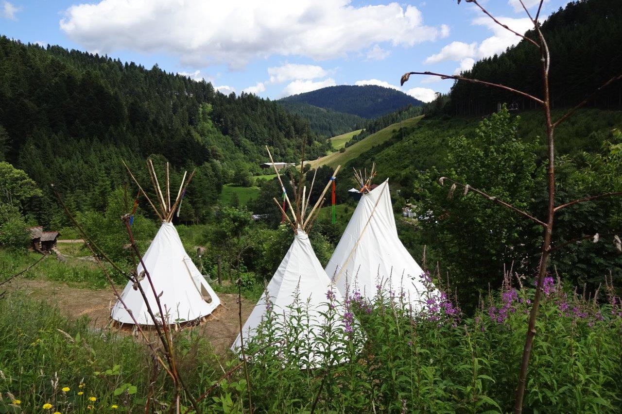 Ausflugsziel: Alternativer Wolf- und Bärenpark