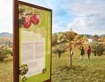 Ausflugsziel: Im Streuobst-Sortengarten werden alte Obstsorten kultiviert. - Streuobst- Sortengarten