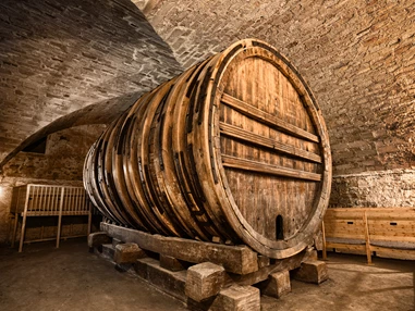 Ausflugsziel: Das älteste Riesenfass. - Museum Alte Kulturen | Schloss Hohentübingen