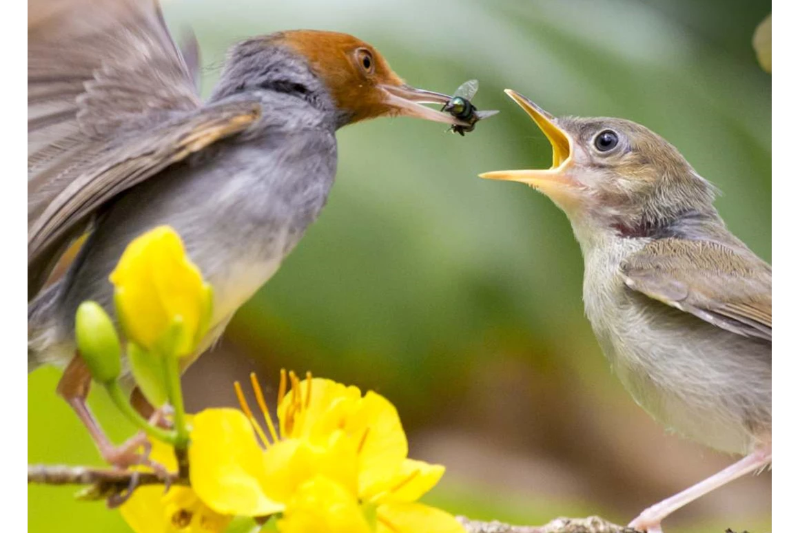 Ausflugsziel: Stadtpark