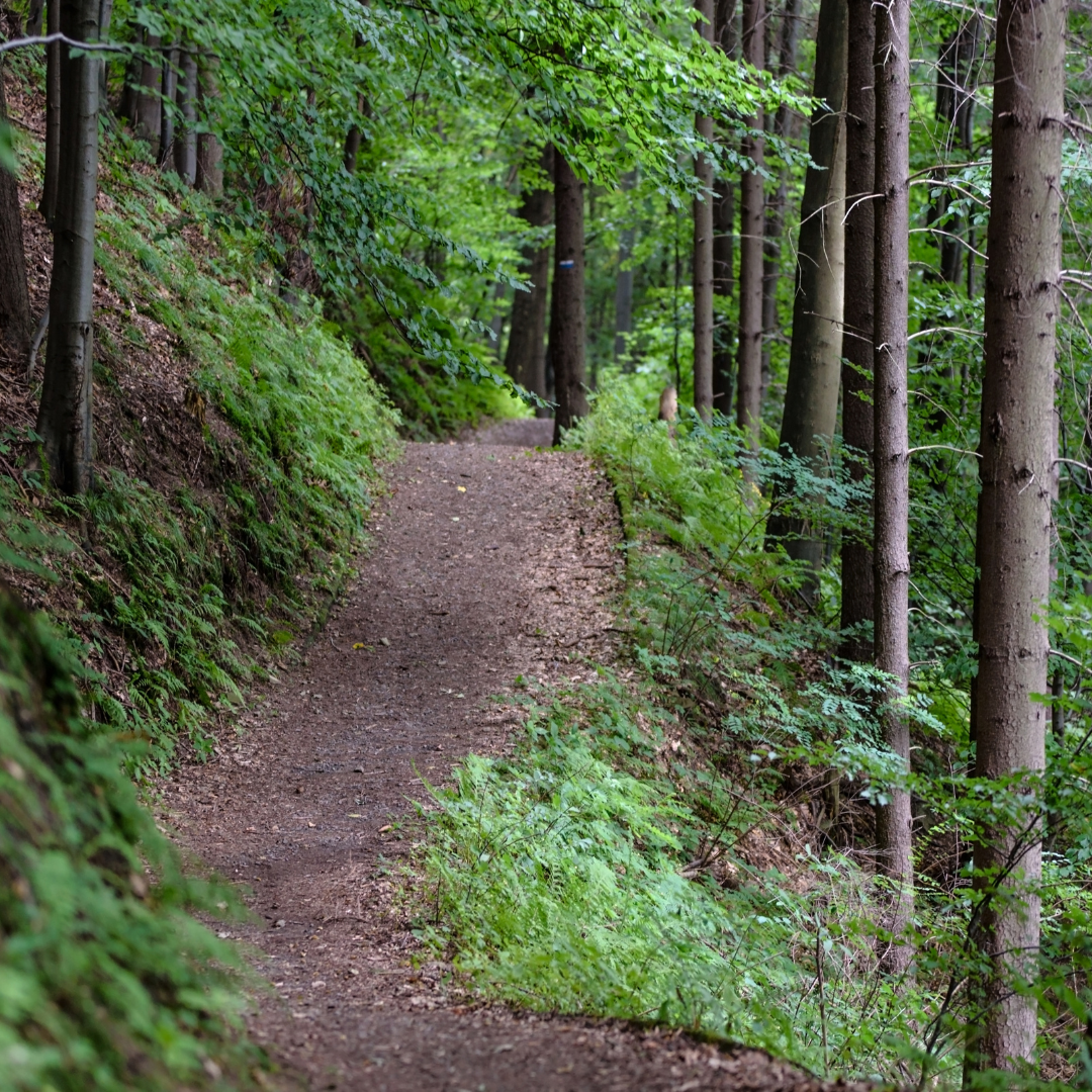 Reis met kinderen - Bönnigheim - Symbolbild für Ausflugsziel Wanderungen um Burg Wildeck. Keine korrekte oder ähnlich Darstellung! - Wanderungen um Burg Wildeck