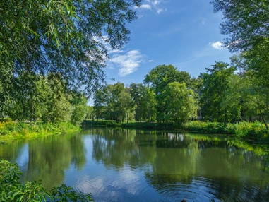Ausflugsziel: Waldmattensee Lahr-Kippenheimweiler