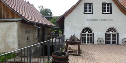 Reis met kinderen - Biberach - Hammerschmiede Oberprechtal