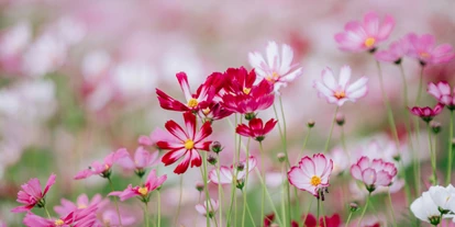 Reis met kinderen - Owen - Botanischer Garten der Universität Tübingen