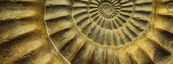 Ausflugsziel: Museum im Kräuterkasten und Geopark Infostelle
