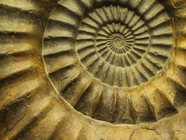 Ausflugsziel: Museum im Kräuterkasten und Geopark Infostelle