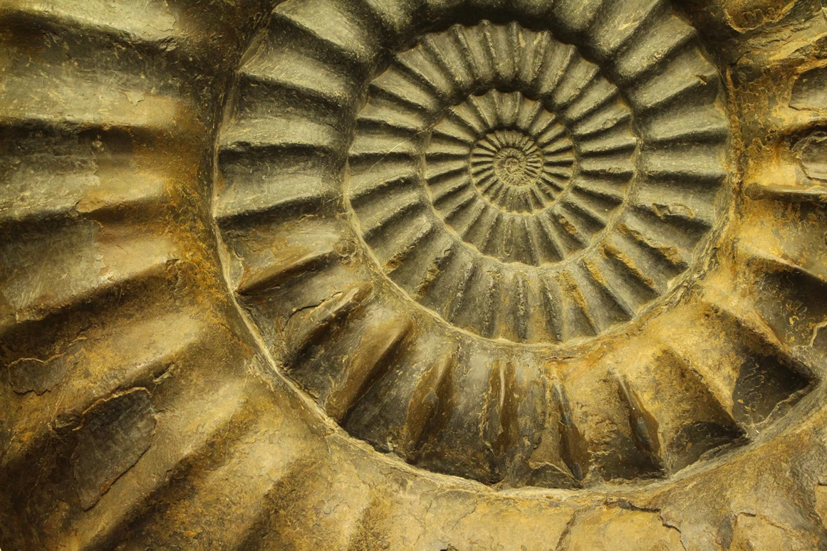 Ausflugsziel: Museum im Kräuterkasten und Geopark Infostelle