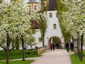 Ausflugsziel: Schlosspark Bad Mergentheim
