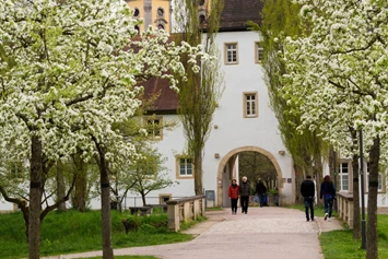 Ausflugsziel: Schlosspark Bad Mergentheim