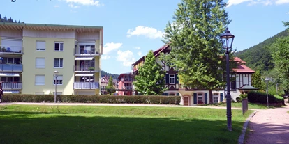 Ausflug mit Kindern - Alpirsbach - Schofferpark Hornberg - Schofferpark Hornberg