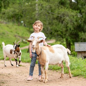 Ausflugsziel: Auf du und du mit der Ziege mit Tannis´s Ziege - Unterkirnach - Tannis kleine Tierscheune