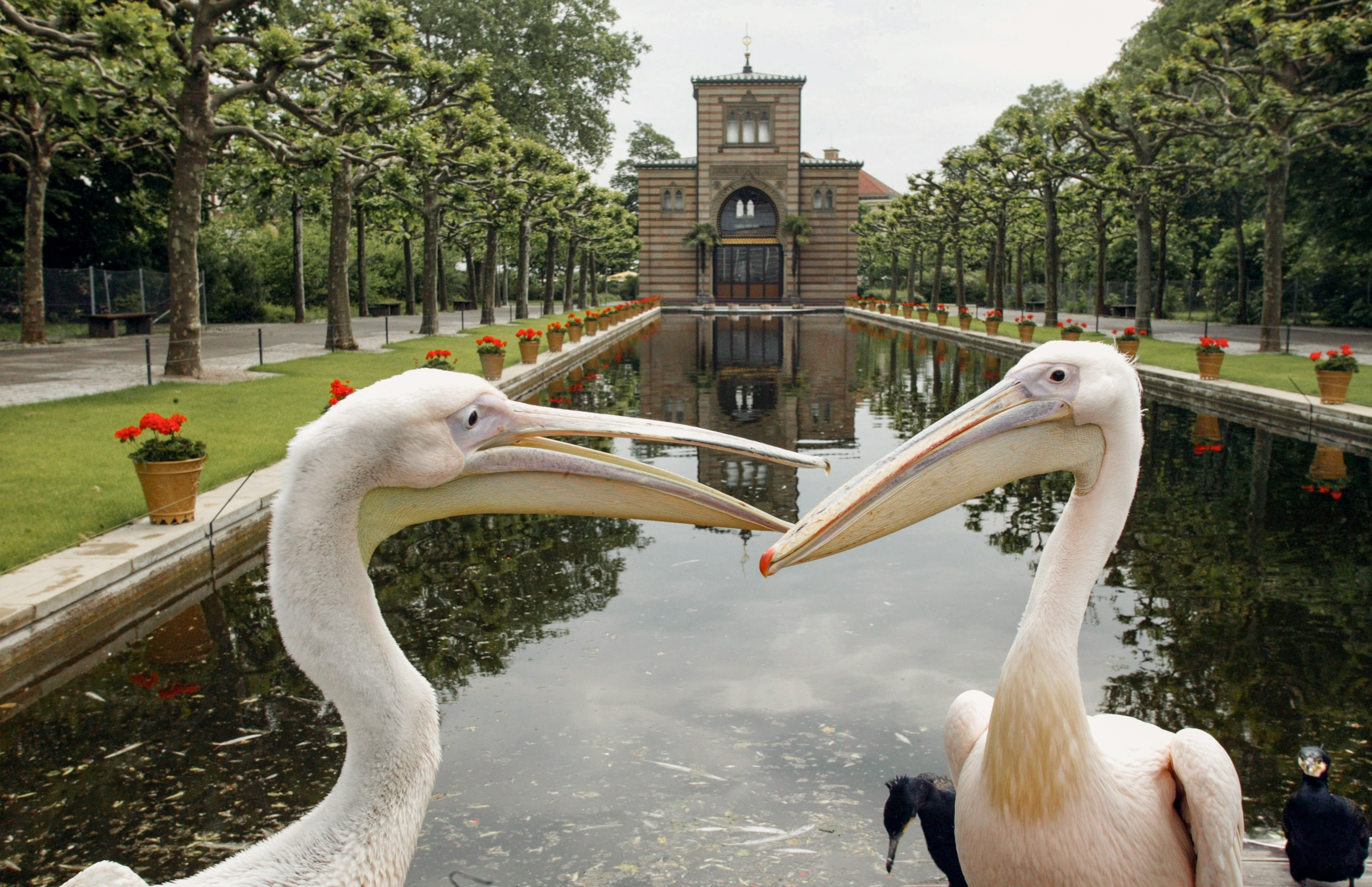 Ausflugsziel: Wilhelma - Zoologisch-Botanischer Garten Stuttgart