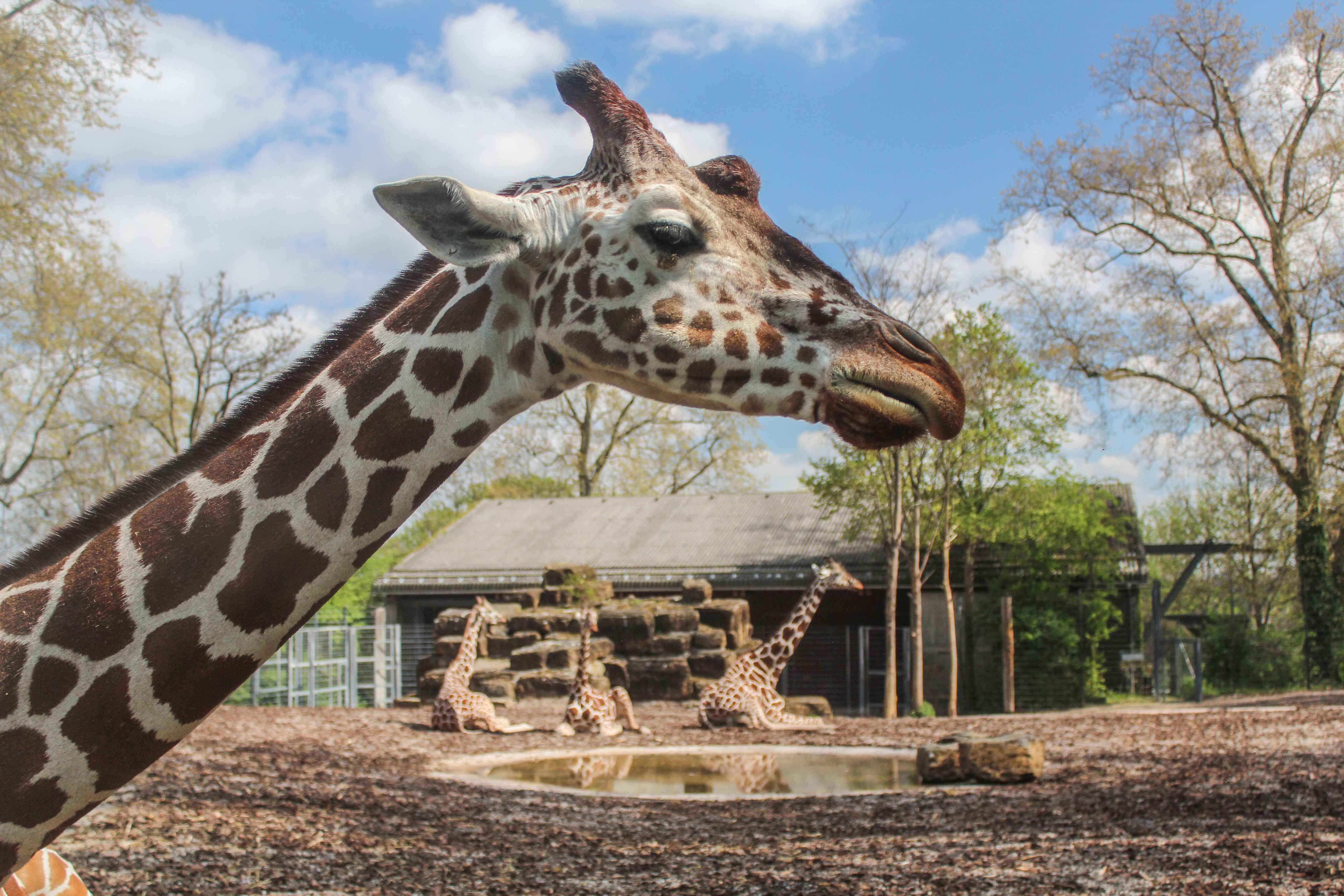Ausflugsziel: Wilhelma - Zoologisch-Botanischer Garten Stuttgart