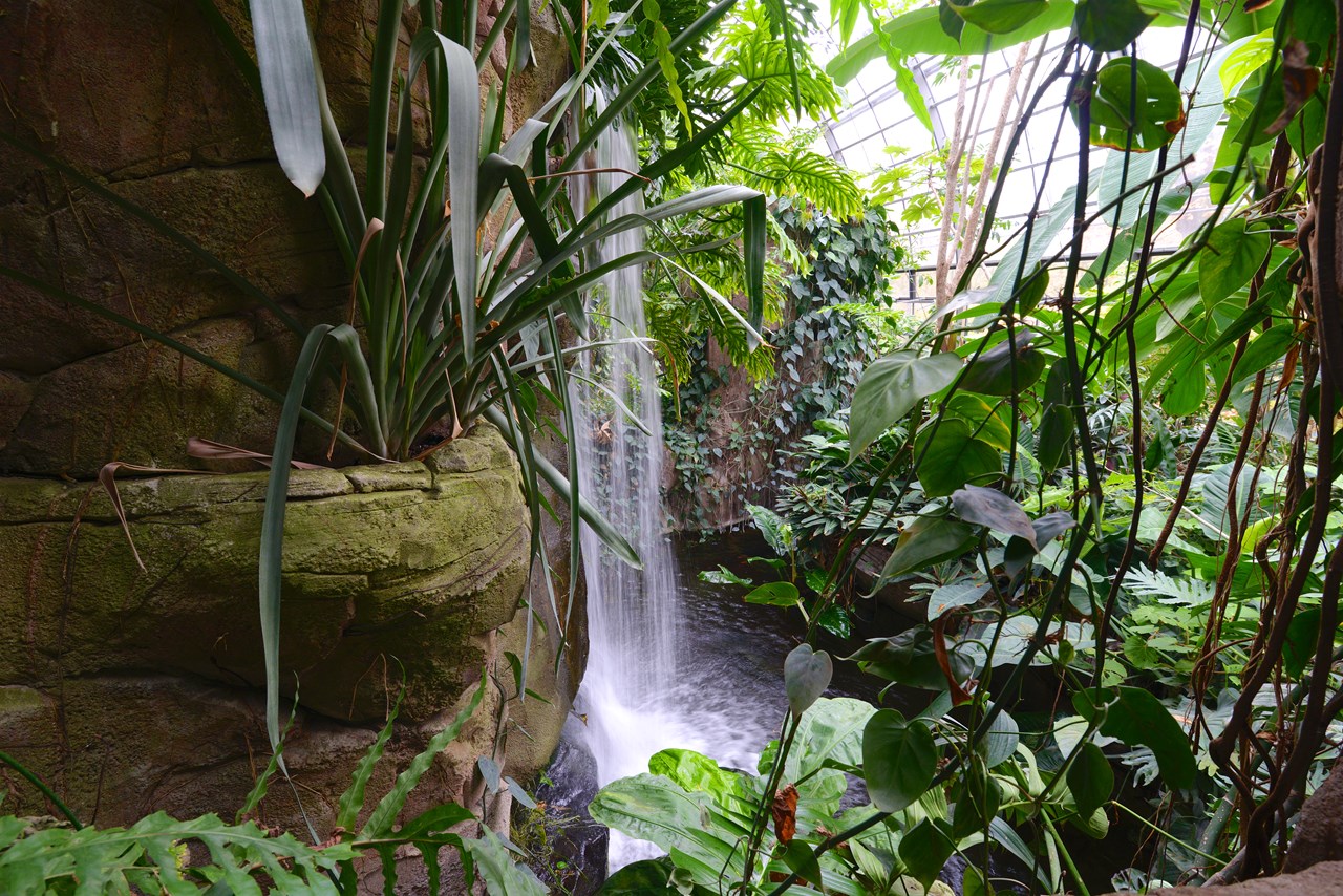 Wilhelma - Zoologisch-Botanischer Garten Stuttgart Highlights beim Ausflugsziel Amazonienhaus