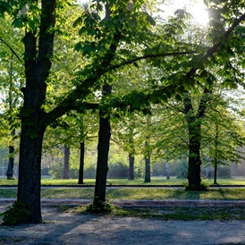 Ausflugsziel: Nagold - Stadtpark Kleb