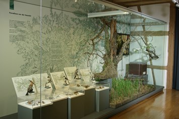 Ausflugsziel: Lebensraum Streuobstwiese - Naturkundemuseum Reutlingen