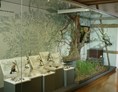 Ausflugsziel: Naturkundemuseum Reutlingen