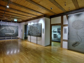 Naturkundemuseum Reutlingen Highlights beim Ausflugsziel Meereskrokodil, Fischsaurier, Seelilien, Ammoniten - Großfossilien aus dem Schwäbischen Jura