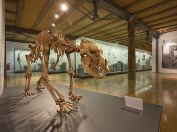 Naturkundemuseum Reutlingen Highlights beim Ausflugsziel Höhlenbär