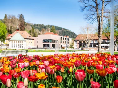 Ausflugsziel: Kur- und Erlebnispark und SOPHI PARK