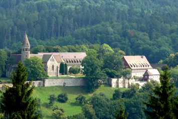 Ausflugsziel: Stauferfalknerei und Kloster Lorch