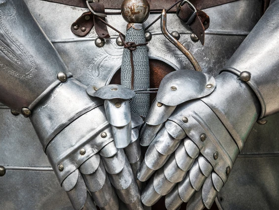 Ausflugsziel: Burg Hohenbeilstein mit Burgfalknerei