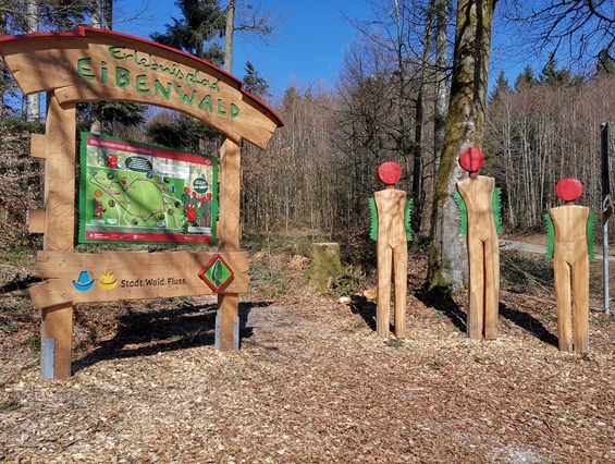 Ausflugsziel: Erlebnispfad Eibenwald