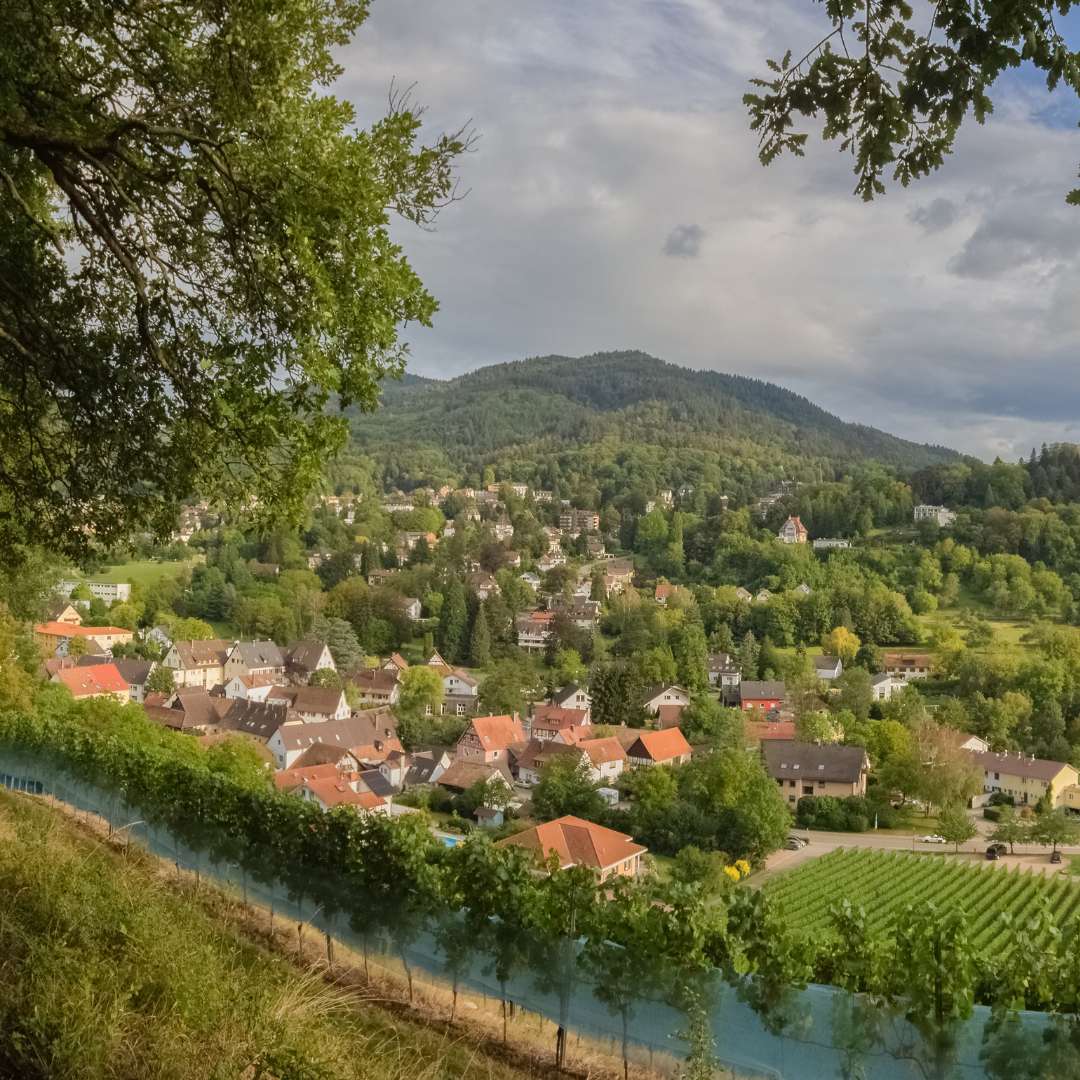 Viaggio con bambini - Breisach am Rhein - Burg Baden
