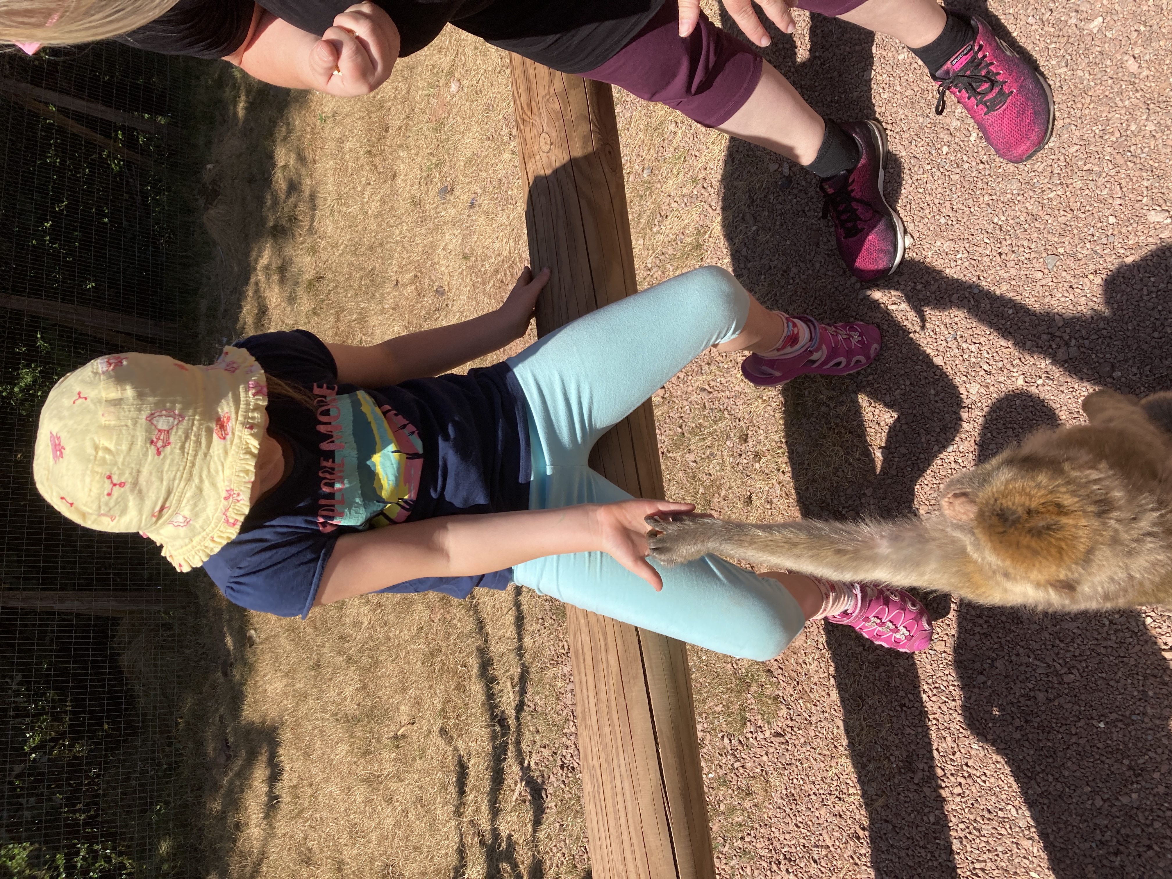 Ausflugsziel: Vogelpark Steinen