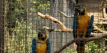 Voyage avec des enfants - Pratteln - Vogelpark Steinen