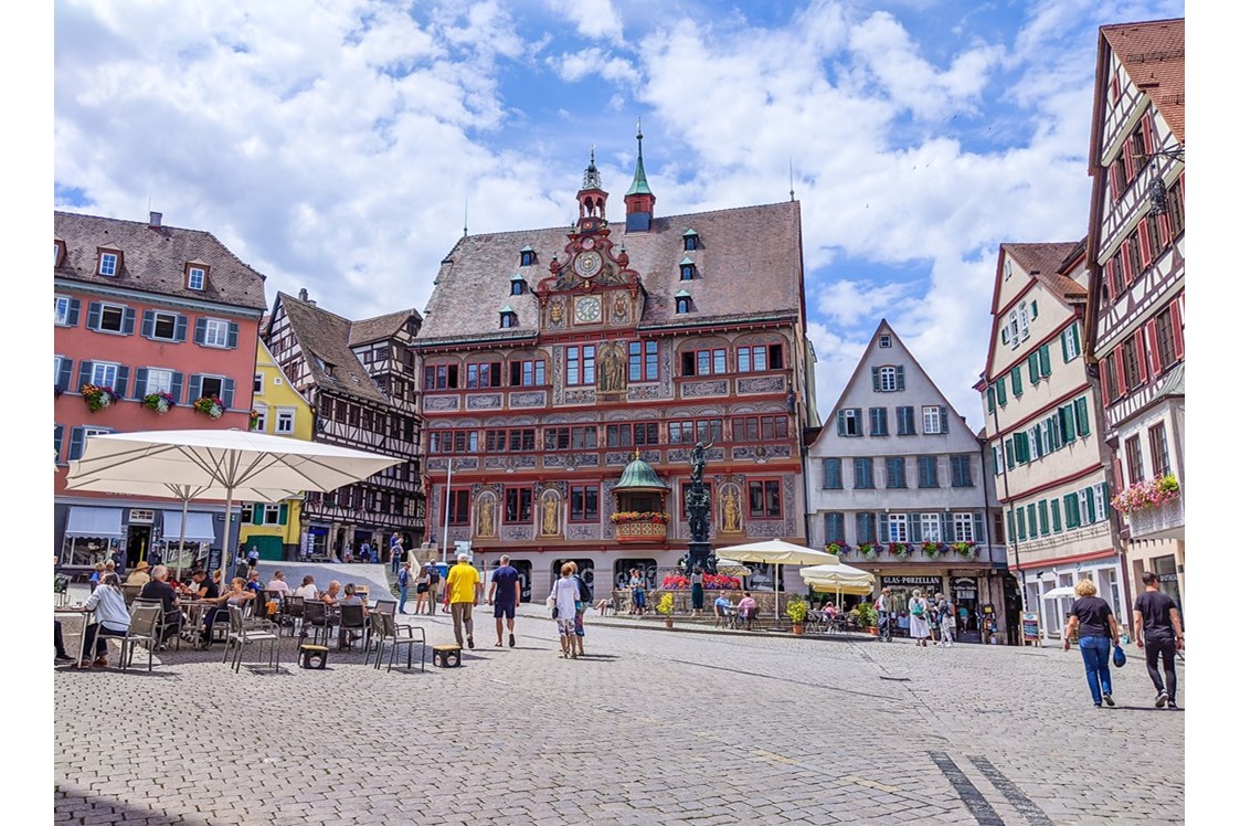 Ausflugsziel: Universitätsstadt Tübingen 