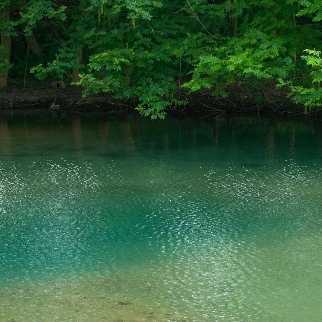 Reis met kinderen - Schömberg (Zollernalbkreis) - Symbolbild für Ausflugsziel Zielfinger Seen (Baden-Württemberg). - Zielfinger Seen