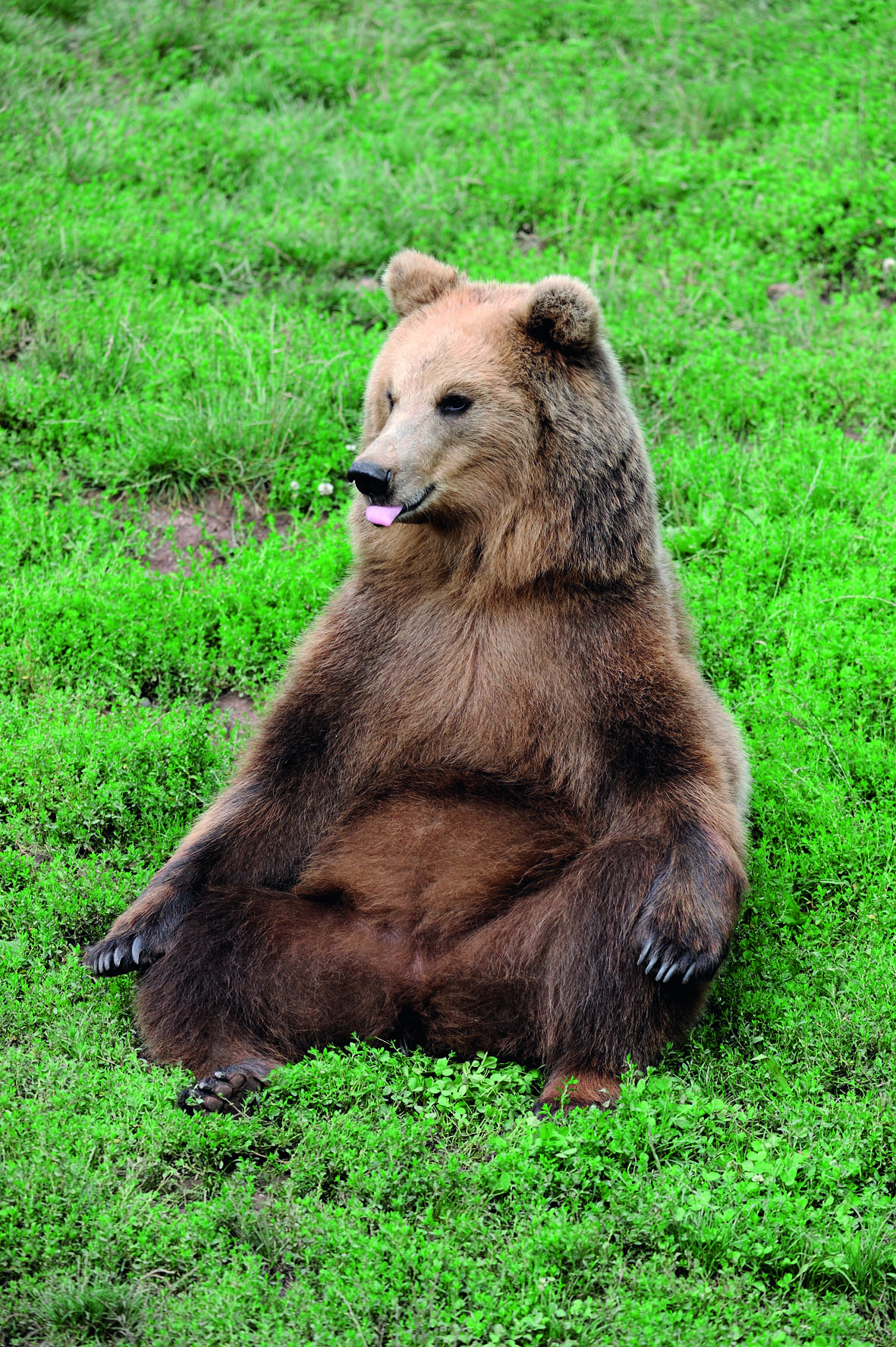 Ausflugsziel: Wildparadies Tripsdrill