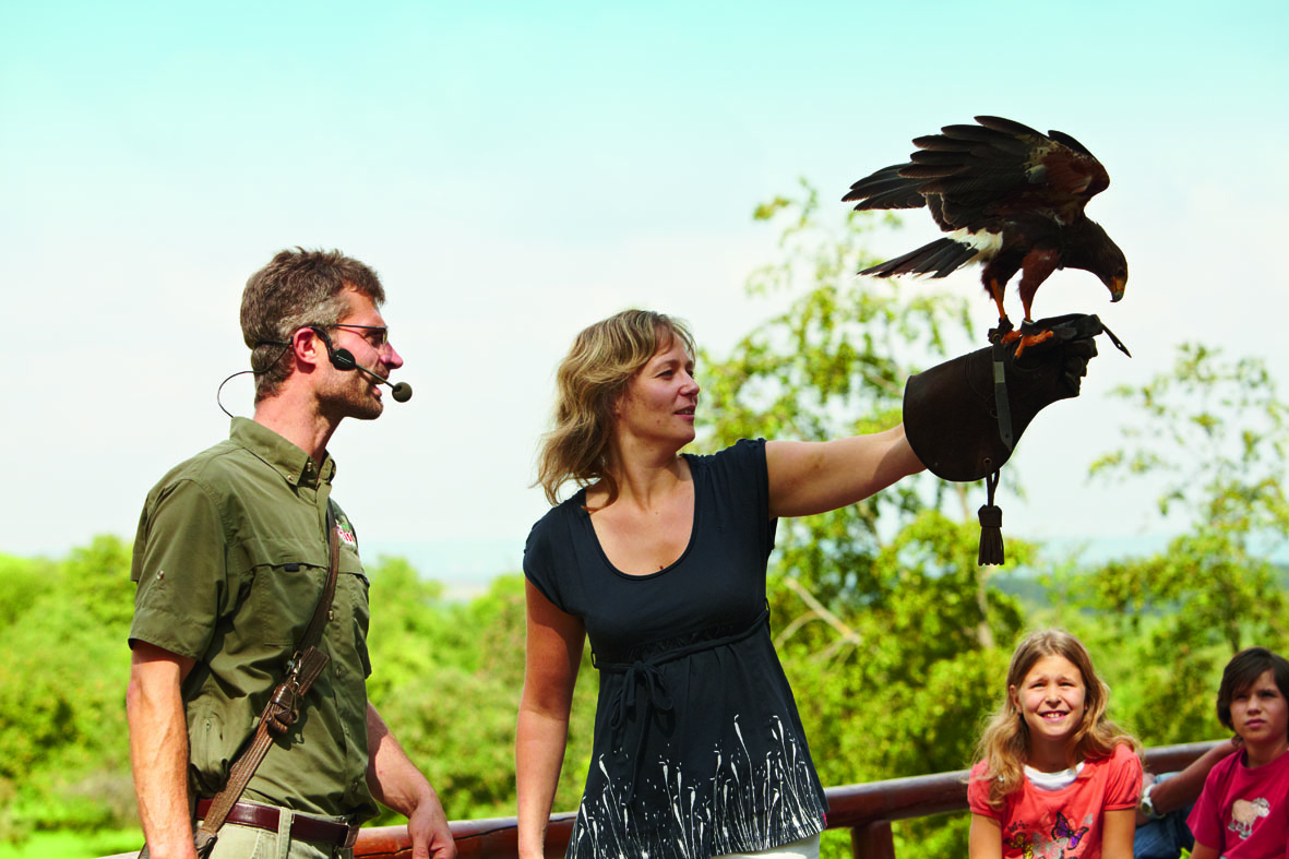Ausflugsziel: Wildparadies Tripsdrill