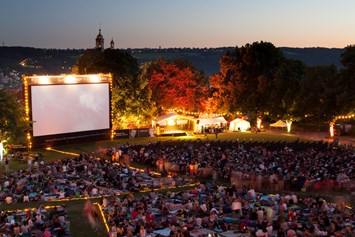 Ausflugsziel: Kino auf der Burg/Kommunales Kino