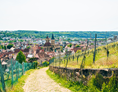 Ausflugsziel: Stadtführungen in Esslingen am Neckar