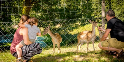 Trip with children - Haigerloch - Wildgehege Salvest Villingen  - Villingen-Schwenningen - Die historische Innenstadt Villingens