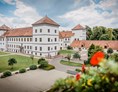 Ausflugsziel: Kultur- und Museumszentrum Schloss Meßkirch