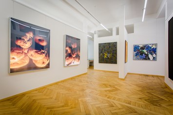 Ausflugsziel: Kreisgalerie des Landkreis Sigmaringen - Kultur- und Museumszentrum Schloss Meßkirch