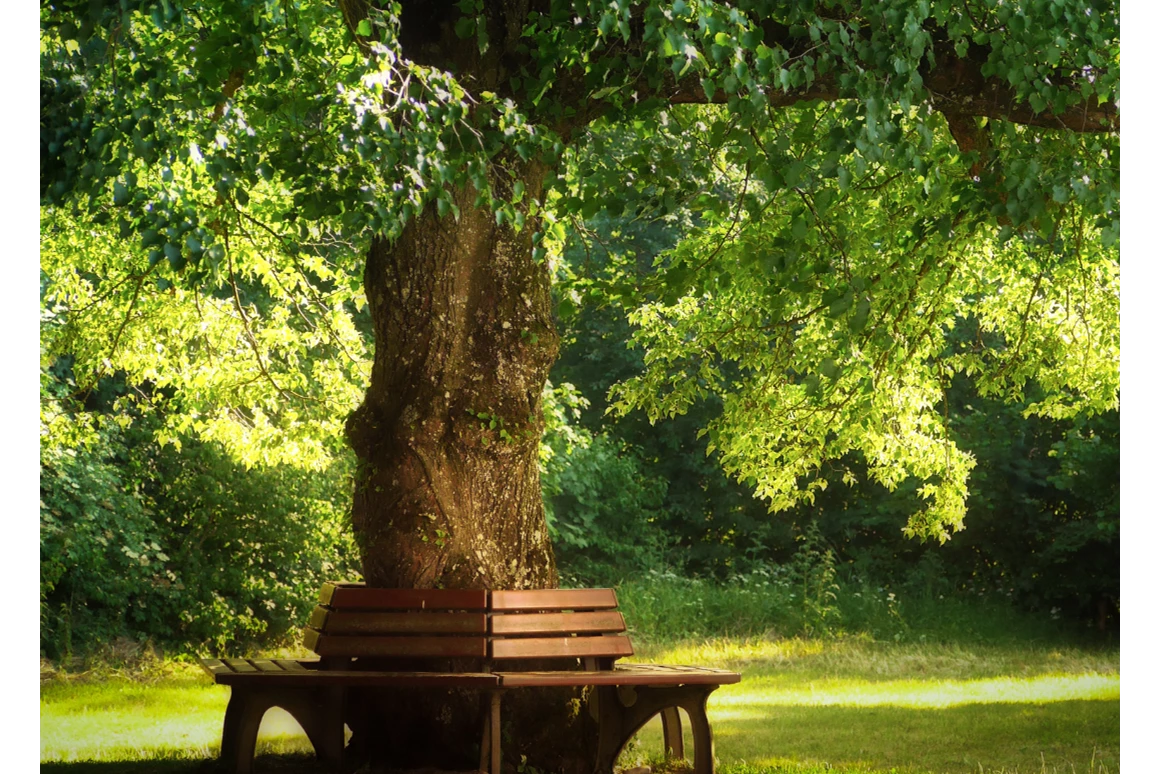 Ausflugsziel: Park der Sinne