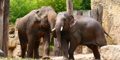 Voyage avec des enfants - PLZ 74924 (Deutschland) - Zoo Heidelberg