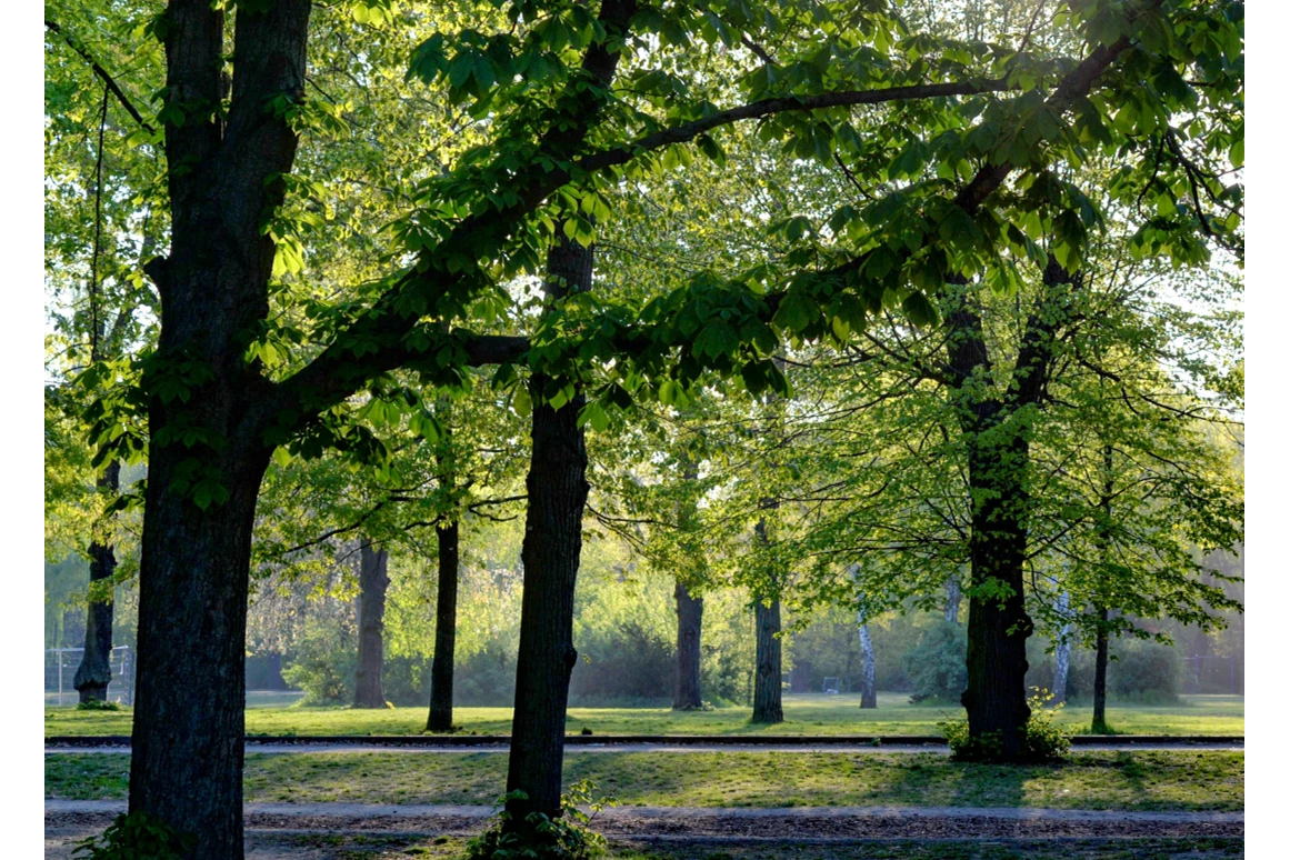 Ausflugsziel: Symbolbild für Ausflugsziel Schlösslepark Kressbronn a. B.. Keine korrekte oder ähnlich Darstellung! - Schlösslepark Kressbronn a. B.