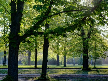 Ausflugsziel: Schlösslepark Kressbronn a. B.