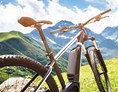 Ausflugsziel: FatStevens - E-Fatbike und Mountainbike Verleih