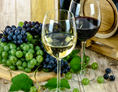 Ausflugsziel: Weinprobe bei den Weingärtnern Esslingen