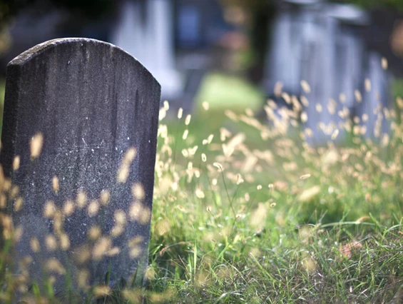 Ausflugsziel: Alter Friedhof Freiburg