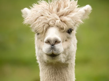 Ausflugsziel: Symbolbild für Ausflugsziel Erlebniszentrum Mühle Kolb Zuzenhausen. Keine korrekte oder ähnlich Darstellung! - Erlebniszentrum Mühle Kolb Zuzenhausen