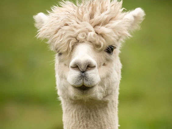 Ausflugsziel: Symbolbild für Ausflugsziel Erlebniszentrum Mühle Kolb Zuzenhausen. Keine korrekte oder ähnlich Darstellung! - Erlebniszentrum Mühle Kolb Zuzenhausen